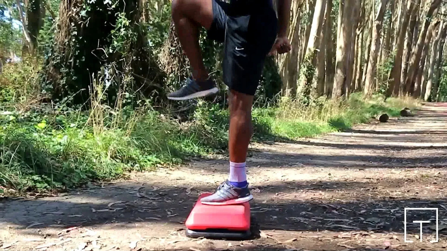 Step Ups Plus Workout