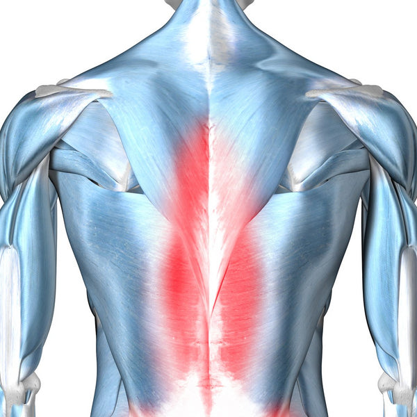 Chronic Lower Back Pain - Bauerfeind United Kingdom