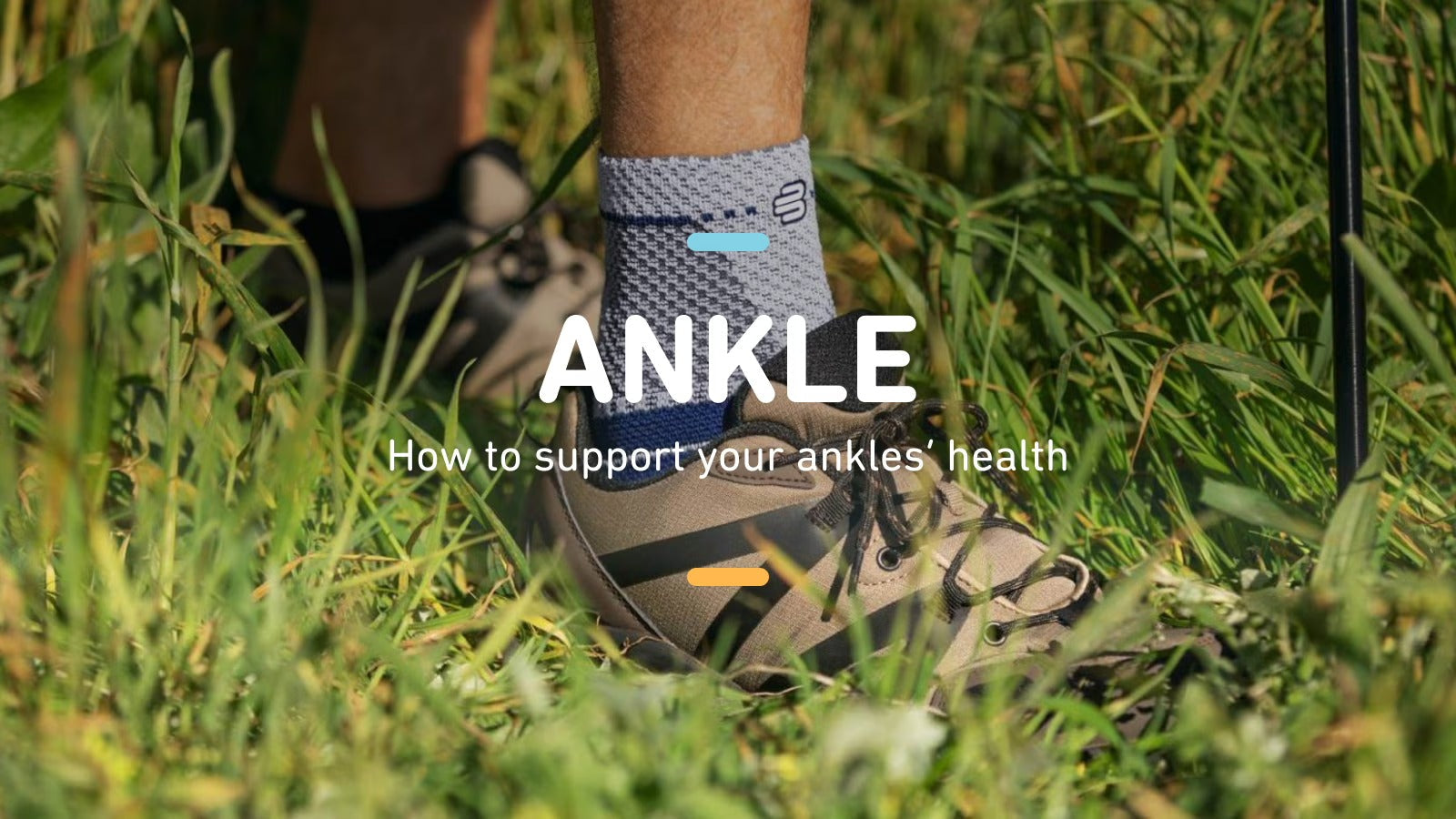 Ankle