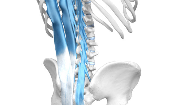 General Back Pain - Bauerfeind United Kingdom